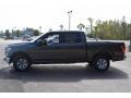 Magnetic - F150 XLT SuperCrew Photo No. 9