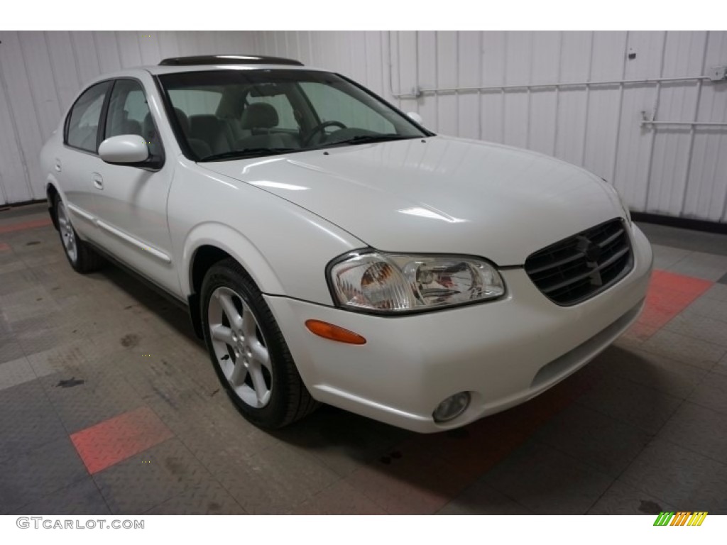 2000 Maxima SE - Icelandic Pearl / Blond photo #5