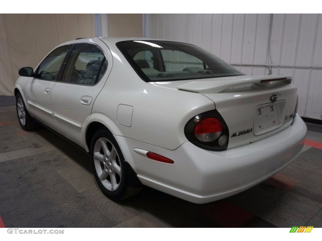 2000 Maxima SE - Icelandic Pearl / Blond photo #10