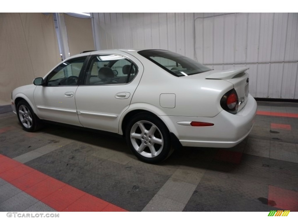 2000 Maxima SE - Icelandic Pearl / Blond photo #11