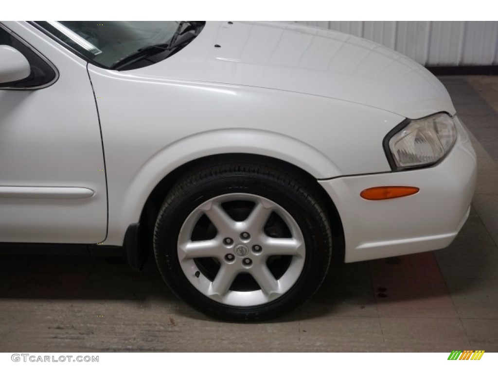 2000 Maxima SE - Icelandic Pearl / Blond photo #42