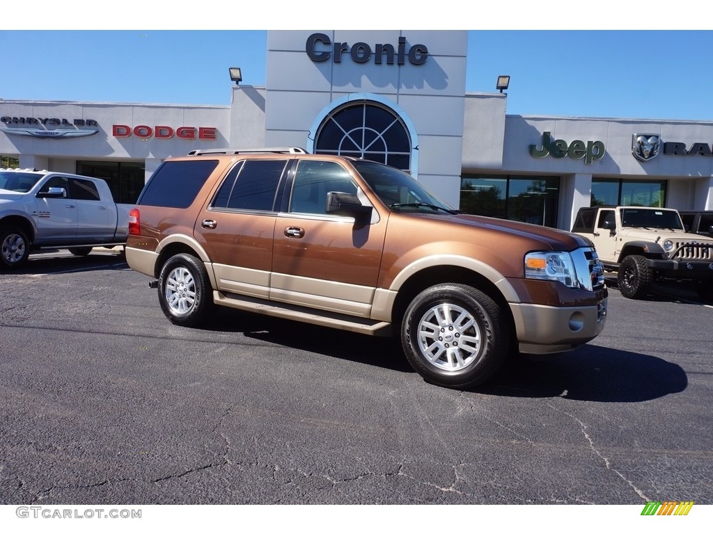 2012 Expedition XLT - Golden Bronze Metallic / Camel photo #1