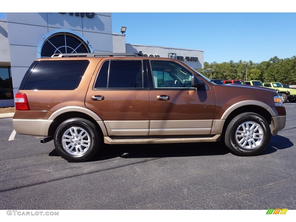 2012 Expedition XLT - Golden Bronze Metallic / Camel photo #8