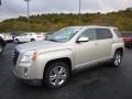 Champagne Silver Metallic 2014 GMC Terrain SLT AWD Exterior