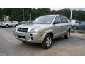 2006 Desert Sage Hyundai Tucson GL #116343956