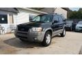 2001 Black Ford Escape XLT V6 #116343955