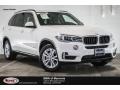 Alpine White - X5 sDrive35i Photo No. 1