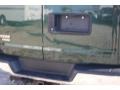 Dark Green Metallic - Express LT 3500 Extended Passenger Van Photo No. 36