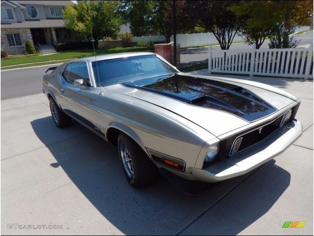 1973 Ford Mustang Mach 1 Fastback Exterior Photos