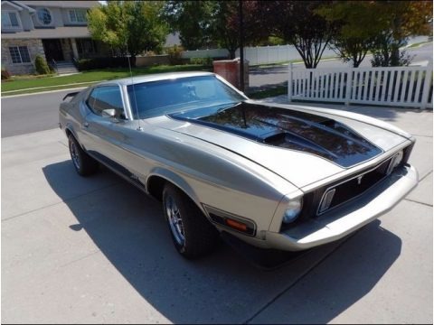 1973 Ford Mustang Mach 1 Fastback Data, Info and Specs