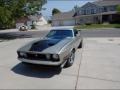 1973 Light Pewter Metallic Ford Mustang Mach 1 Fastback  photo #2