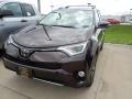 Black Current Metallic - RAV4 XLE AWD Photo No. 1