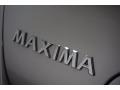 Liquid Silver Metallic - Maxima 3.5 SL Photo No. 65