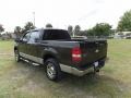 Dark Shadow Grey Metallic - F150 XLT SuperCrew Photo No. 3