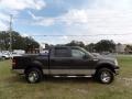 Dark Shadow Grey Metallic - F150 XLT SuperCrew Photo No. 9