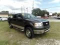 2007 Dark Shadow Grey Metallic Ford F150 XLT SuperCrew  photo #10