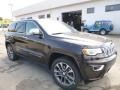 Luxury Brown Pearl 2017 Jeep Grand Cherokee Overland 4x4 Exterior