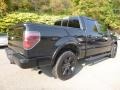 Tuxedo Black Metallic - F150 FX4 SuperCrew 4x4 Photo No. 2
