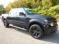 Tuxedo Black Metallic - F150 FX4 SuperCrew 4x4 Photo No. 8