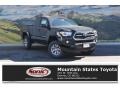 Black 2017 Toyota Tacoma SR5 Access Cab 4x4
