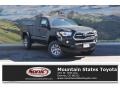 2017 Black Toyota Tacoma SR5 Access Cab 4x4  photo #1