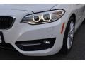 Alpine White - 2 Series 228i xDrive Convertible Photo No. 30