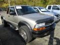 2001 Light Pewter Metallic Chevrolet S10 LS Extended Cab 4x4  photo #2