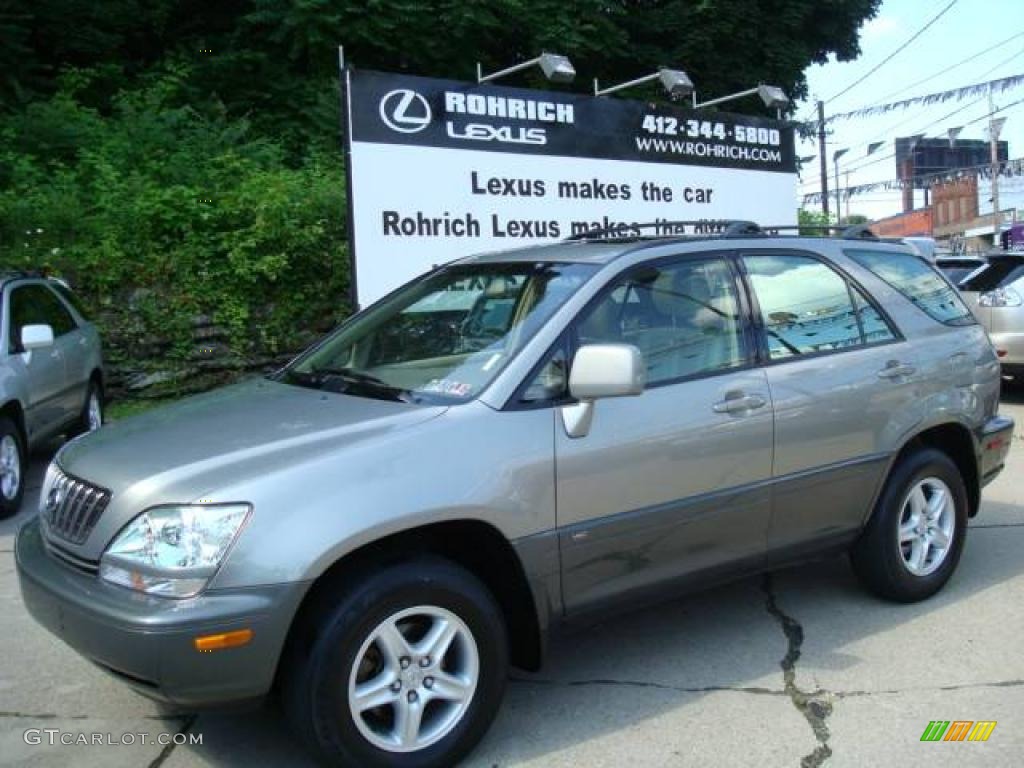 2001 RX 300 AWD - Mineral Green Metallic / Ivory photo #1