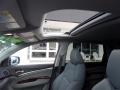 Graphite Luster Metallic - MDX Technology Photo No. 11