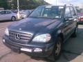 Black Opal Metallic 2003 Mercedes-Benz ML 320 4Matic