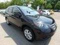 2014 Crystal Black Pearl Honda CR-V EX-L AWD  photo #7