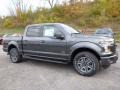 Magnetic 2016 Ford F150 Gallery