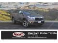 Predawn Gray Mica - Highlander XLE Photo No. 1