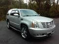 2011 Silver Lining Metallic Cadillac Escalade Luxury AWD  photo #4