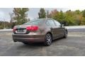 Toffee Brown Metallic - Jetta S Sedan Photo No. 6