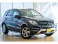 Steel Grey Metallic - ML 350 Photo No. 10