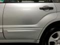 Platinum Silver Metallic - Forester 2.5 XS Photo No. 34