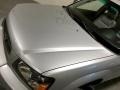 Platinum Silver Metallic - Forester 2.5 XS Photo No. 38