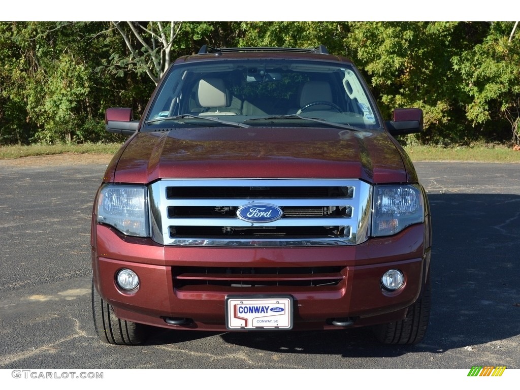 2011 Expedition Limited 4x4 - Royal Red Metallic / Stone photo #13