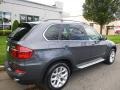 Platinum Gray Metallic - X5 xDrive 35i Premium Photo No. 5