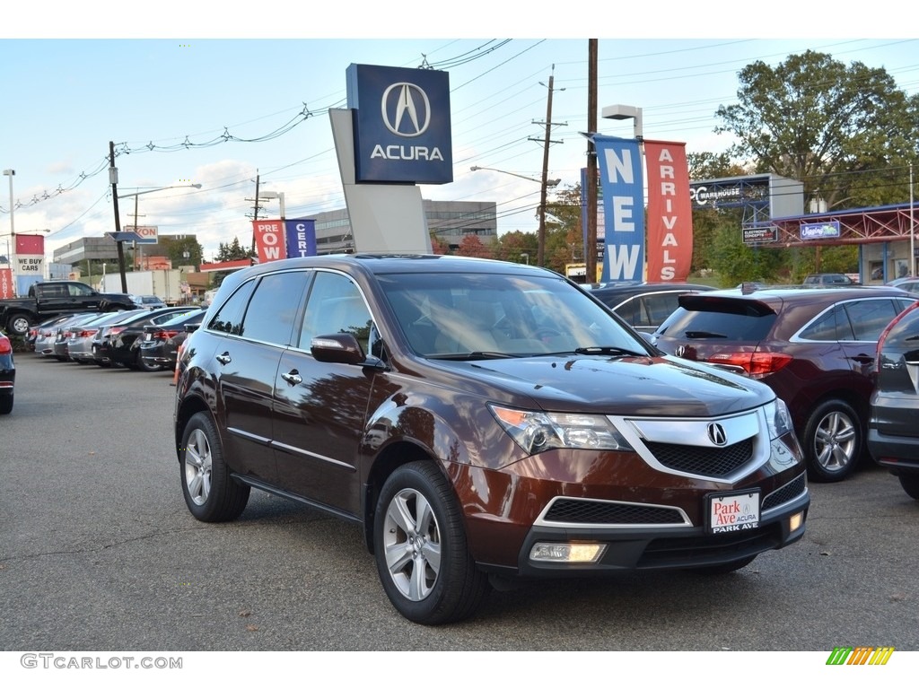 2011 MDX Technology - Ionized Bronze Metallic / Parchment photo #1