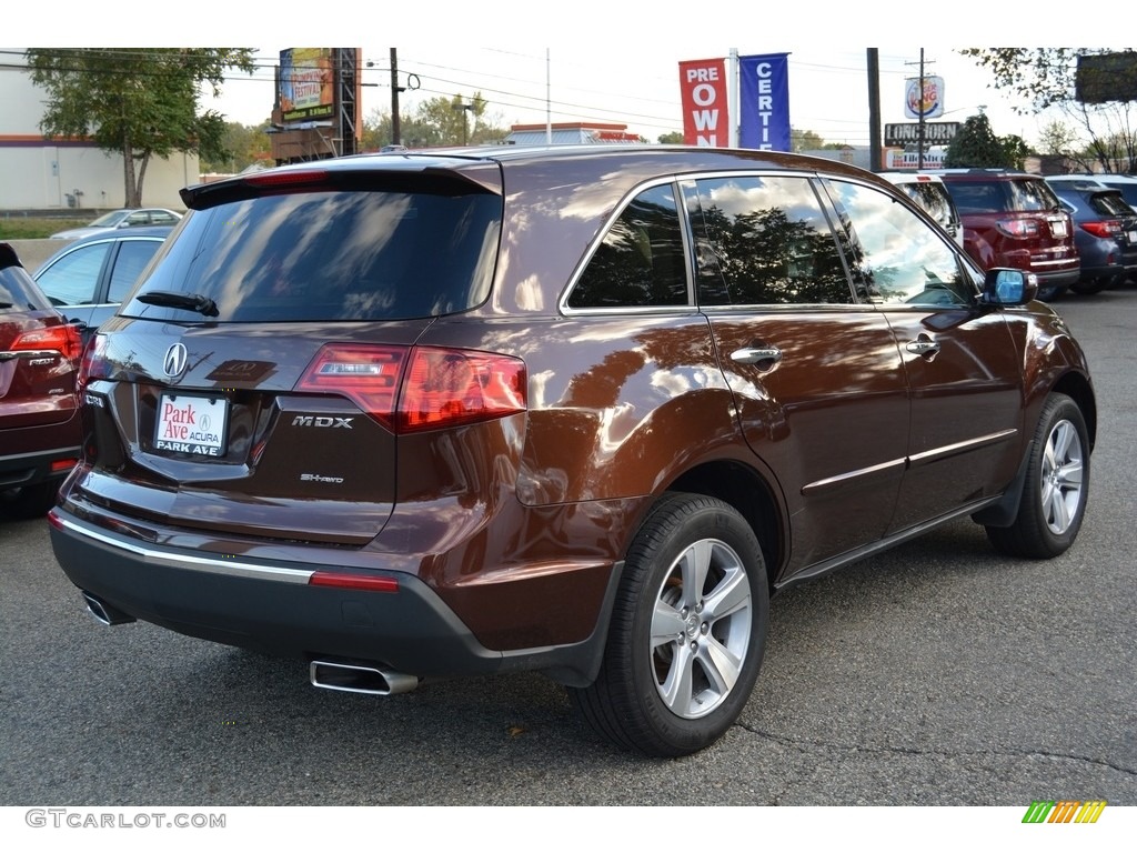 2011 MDX Technology - Ionized Bronze Metallic / Parchment photo #3
