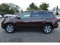 2011 Ionized Bronze Metallic Acura MDX Technology  photo #6