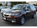 2011 Ionized Bronze Metallic Acura MDX Technology  photo #7