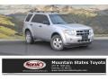 Ingot Silver Metallic 2011 Ford Escape XLT