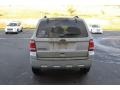 Ingot Silver Metallic - Escape XLT Photo No. 3