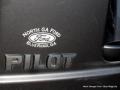 Polished Metal Metallic - Pilot EX Photo No. 16