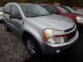 Galaxy Silver Metallic - Equinox LS AWD Photo No. 5