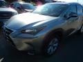 Atomic Silver - NX 200t AWD Photo No. 1