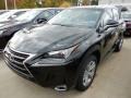 Obsidian - NX 200t AWD Photo No. 1